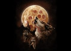 Illustration for article titled Cooking with TAY: The WolfGuy, Chicken BBQ Pizza Review